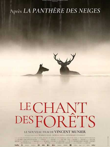 LE CHANT DES FORÊTS
